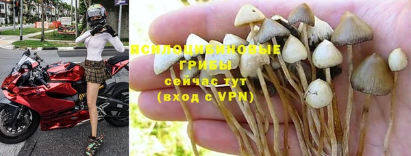бошки Белоозёрский
