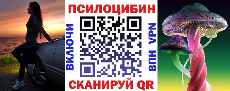 Псилоцибиновые грибы Psilocybine cubensis  Буйнакск 